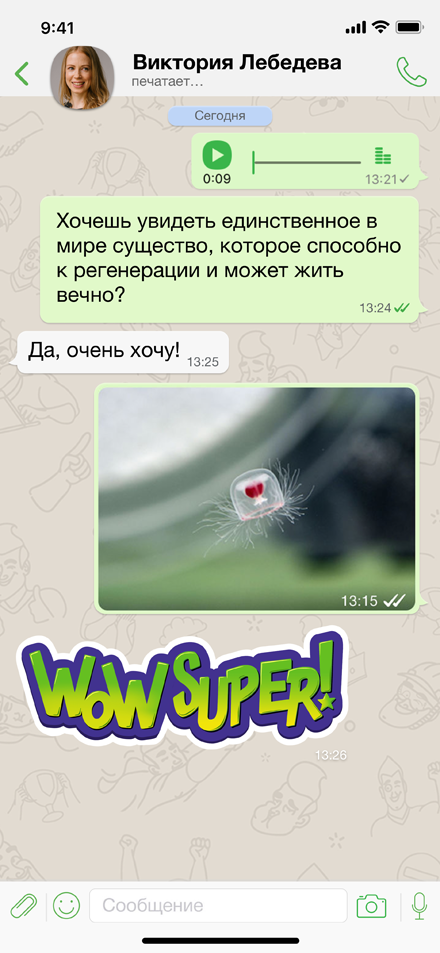DefTalk безопасность переписки